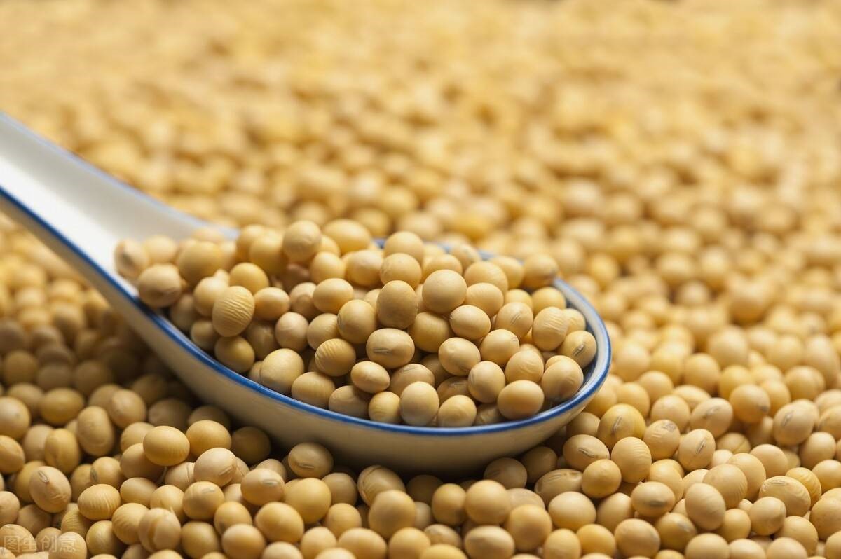 我国大豆和油料产能提升工程开局良好