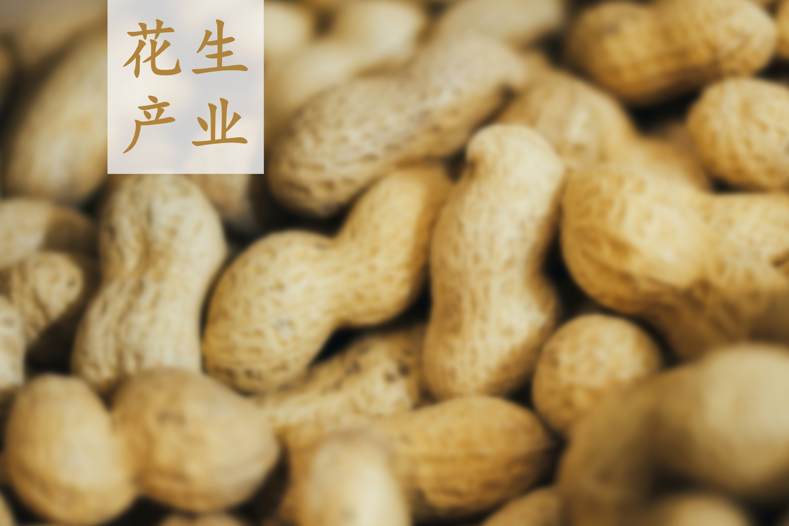 2024中国花生行业发展简报