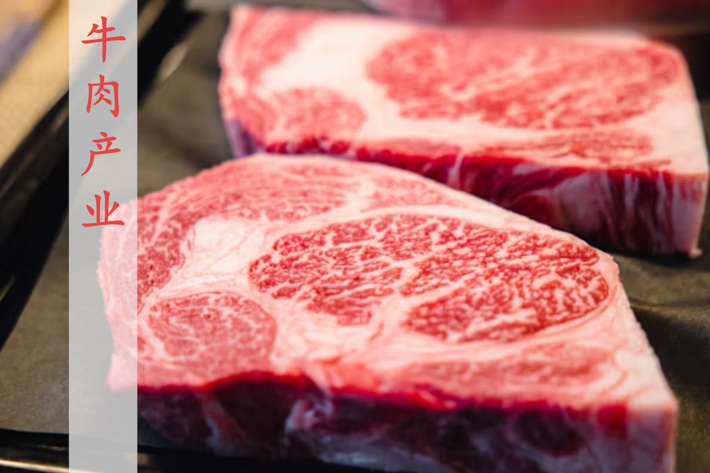 肉牛行业半年激变！2025年肉牛市场回顾和展望